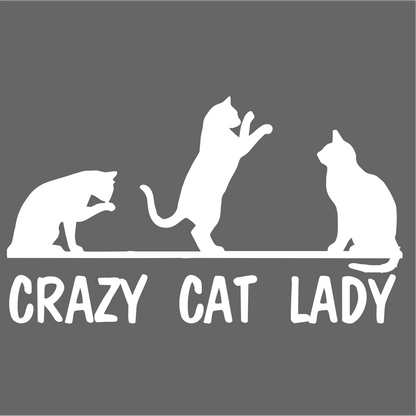 Crazy Cat Lady Pet Lover Vinyl Car Truck Decal Window Vinyl Sticker Vehicle Accessories Car Décor Kitty Stickers