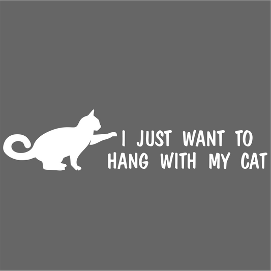 I just Want To Hang With My Cat Pet Lover Vinyl Car Truck Decal Window Vinyl Sticker Vehicle Accessories Car Décor Kitty Stickers
