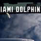 Miami Dolphins Vinyl Car Van Truck Decal Window Sticker